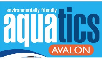Lighweight Water Soluble Fabric - Avalon